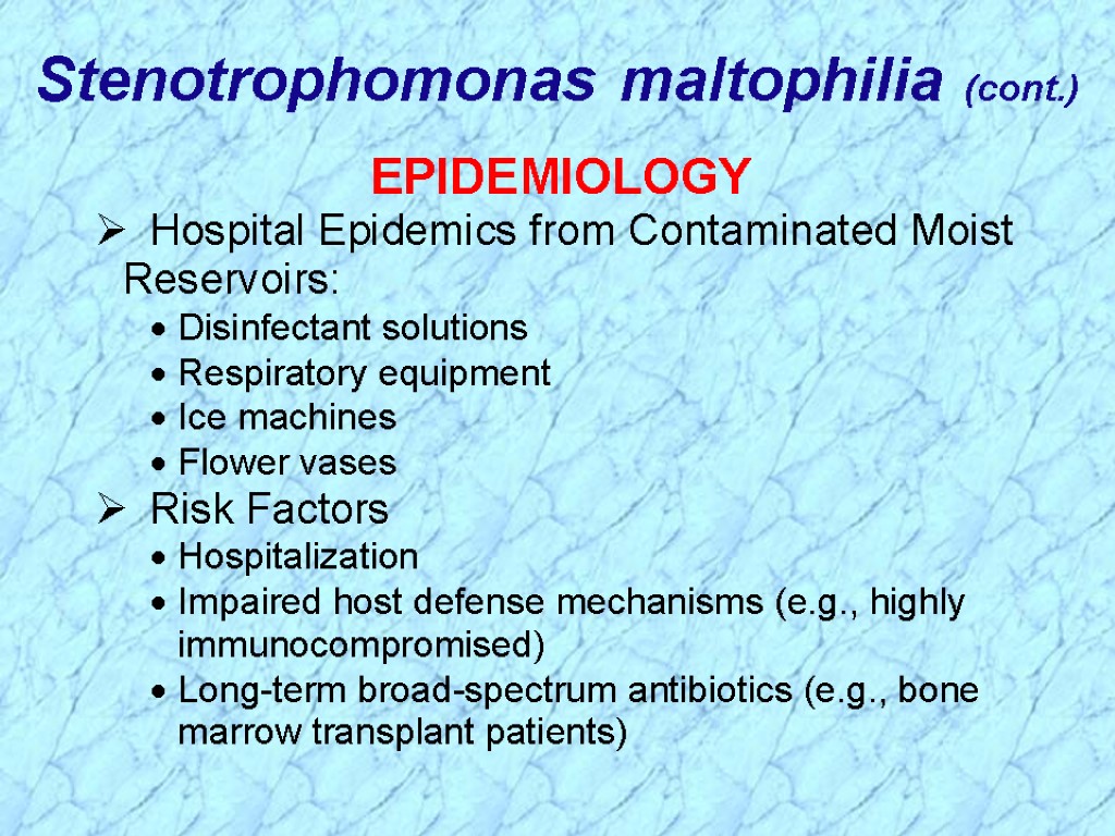 Stenotrophomonas maltophilia (cont.)